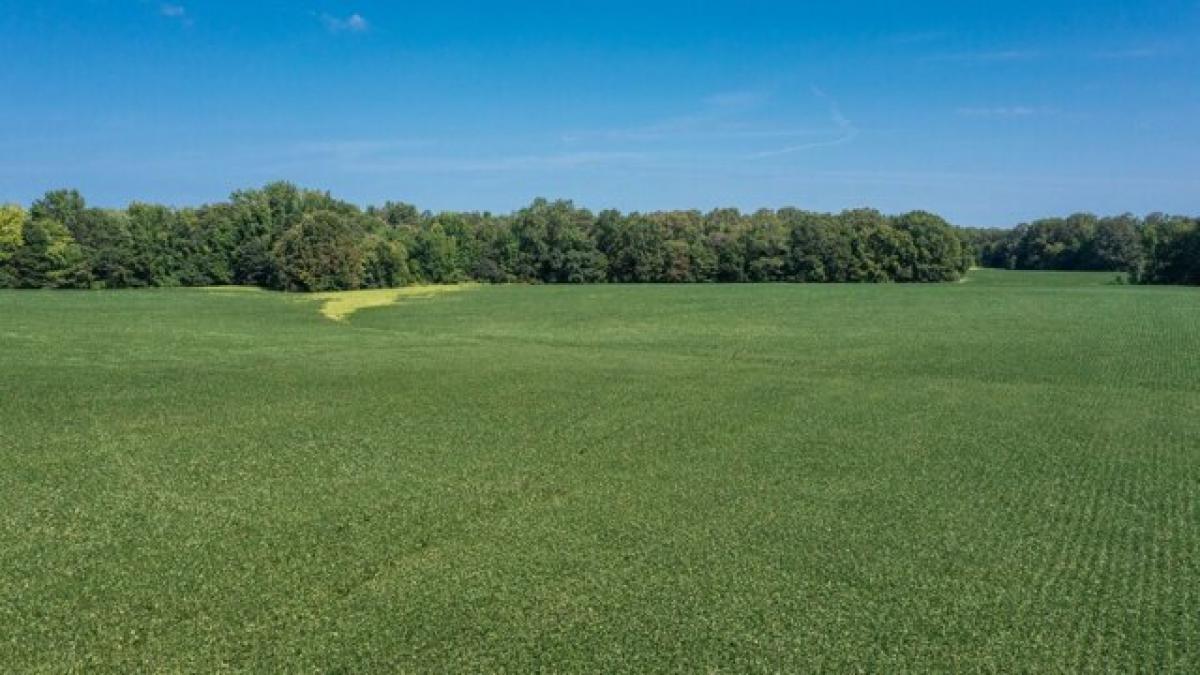 Picture of Residential Land For Sale in Elora, Tennessee, United States