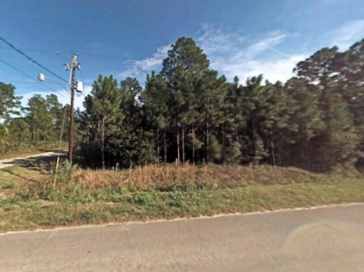 Picture of Residential Land For Sale in Bunnell, Florida, United States