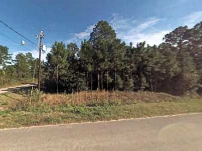 Residential Land For Sale in Bunnell, Florida