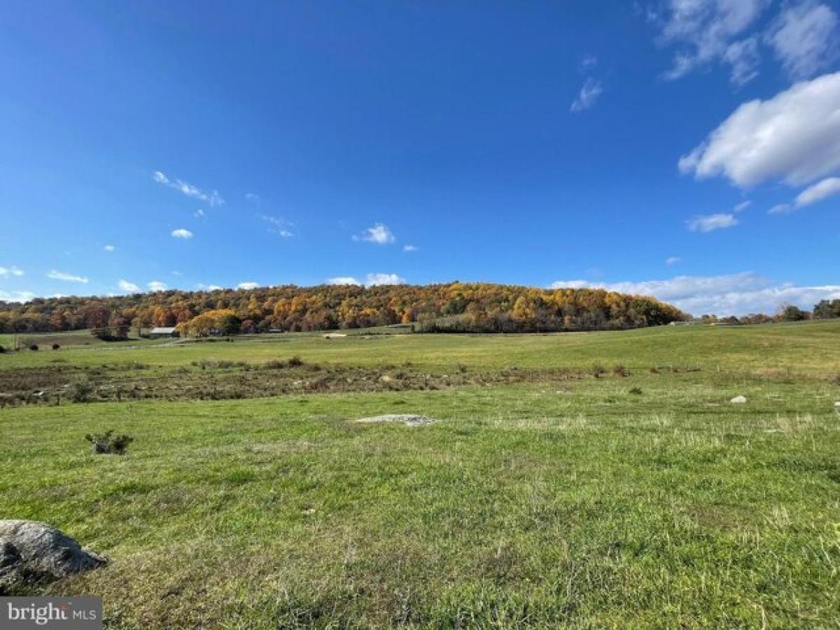 Picture of Residential Land For Sale in Bentonville, Virginia, United States