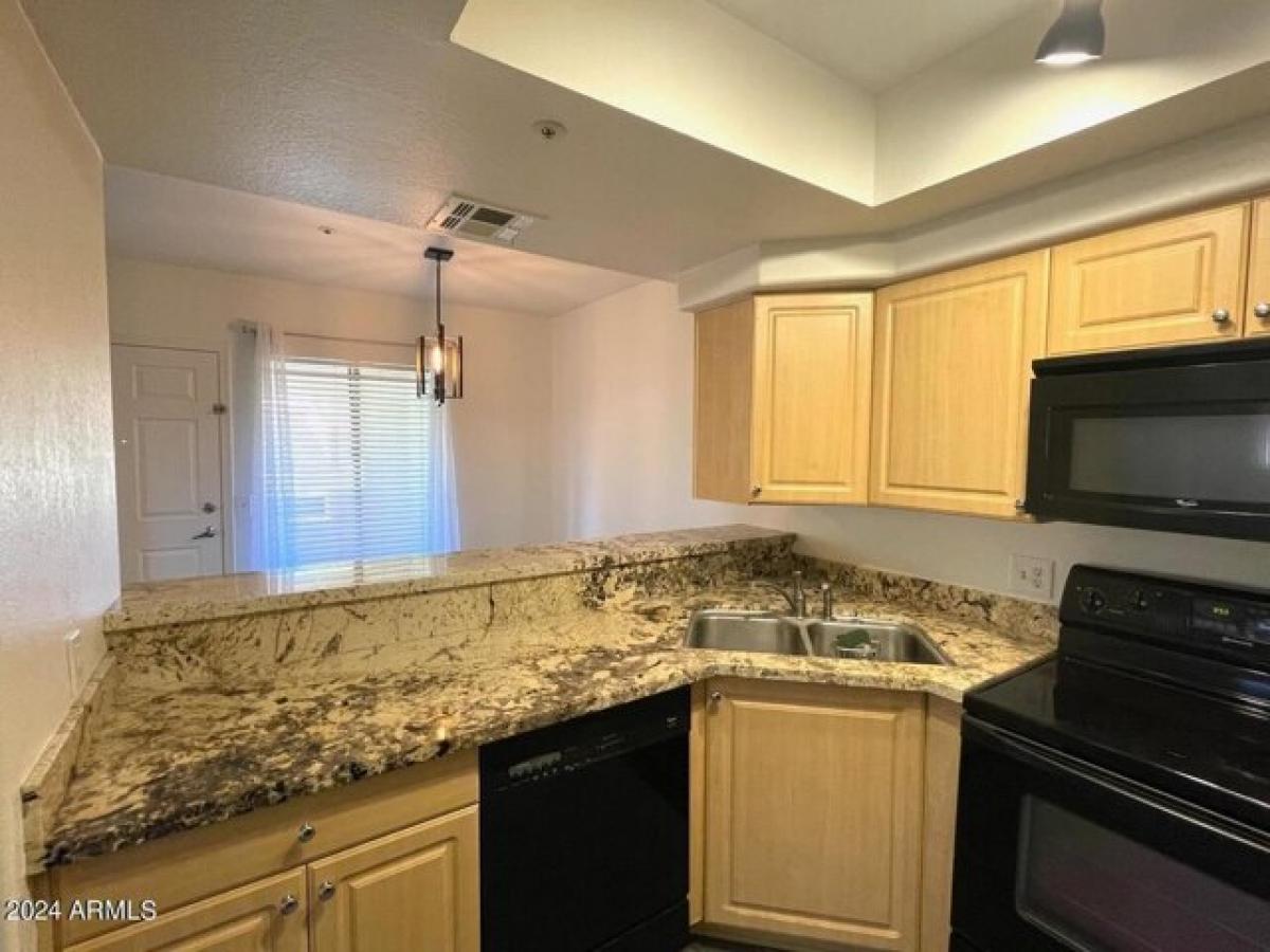 Picture of Apartment For Rent in Paradise Valley, Arizona, United States