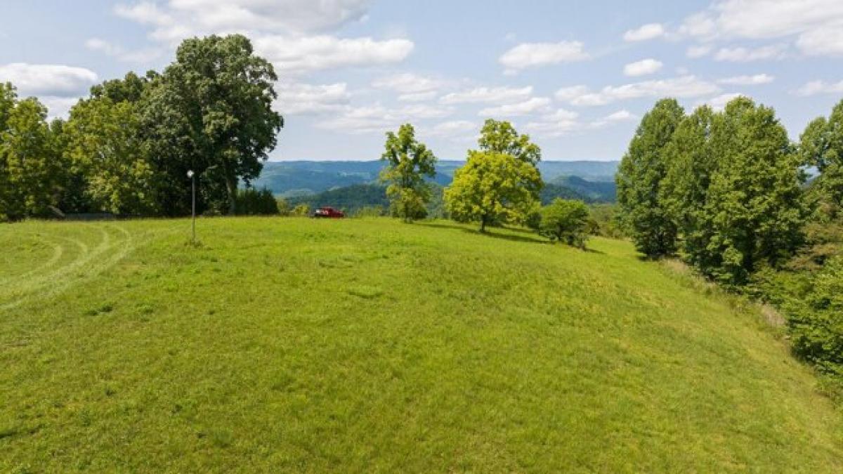 Picture of Residential Land For Sale in Eidson, Tennessee, United States