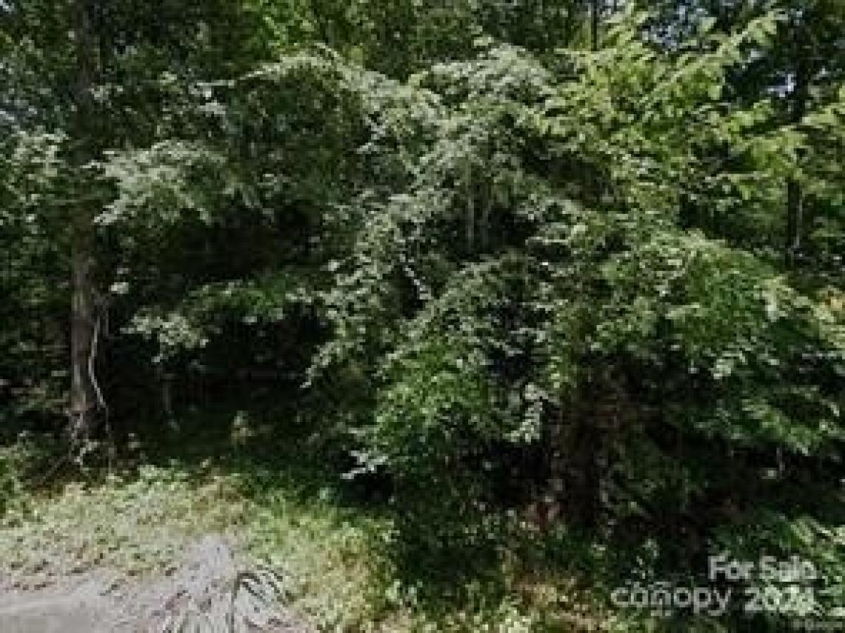 Picture of Residential Land For Sale in Shelby, North Carolina, United States