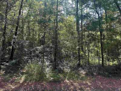 Residential Land For Sale in Robert, Louisiana