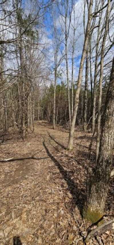 Residential Land For Sale in 