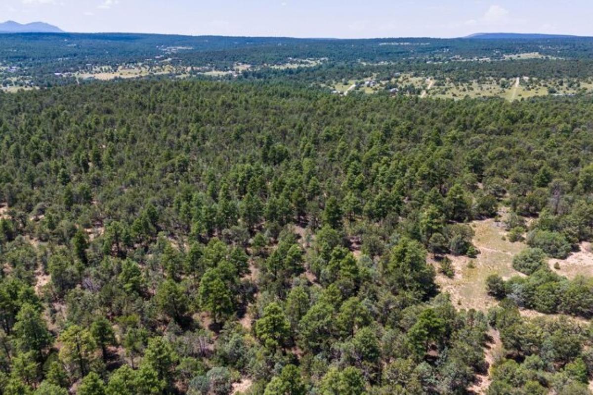 Picture of Residential Land For Sale in Tijeras, New Mexico, United States