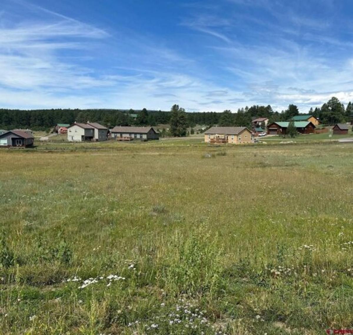 Picture of Residential Land For Sale in Pagosa Springs, Colorado, United States