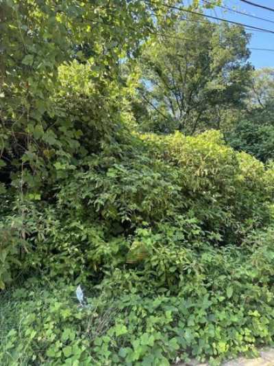 Residential Land For Sale in Roanoke, Virginia