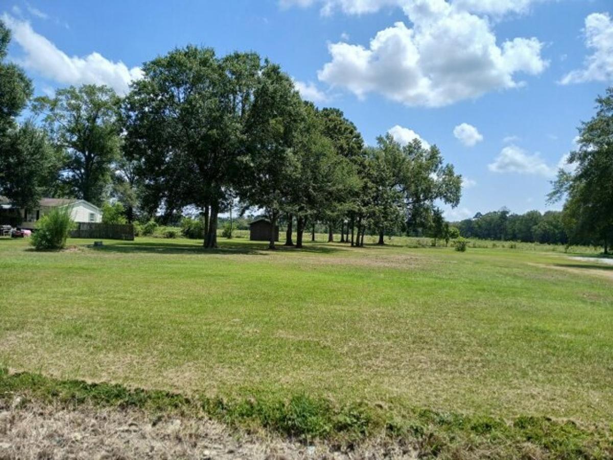 Picture of Residential Land For Sale in Iowa, Louisiana, United States