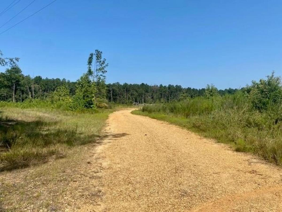 Picture of Residential Land For Sale in Summit, Mississippi, United States