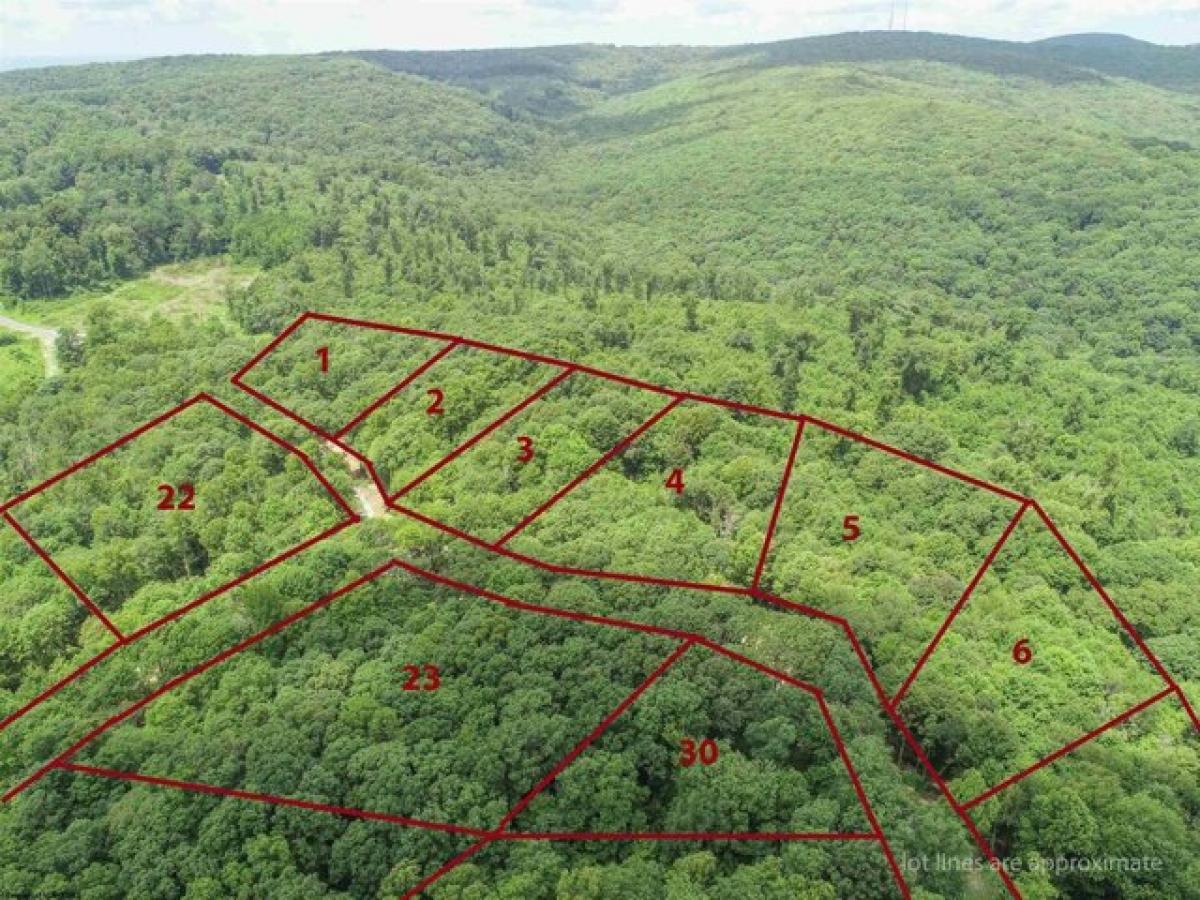 Picture of Residential Land For Sale in Bruceton Mills, West Virginia, United States