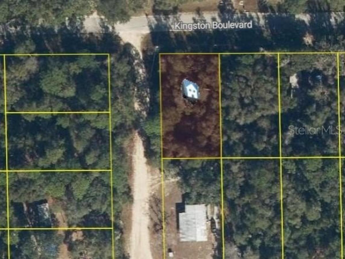 Picture of Residential Land For Sale in Satsuma, Florida, United States