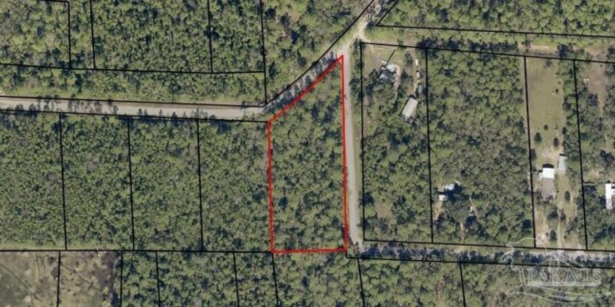 Picture of Residential Land For Sale in Milton, Florida, United States