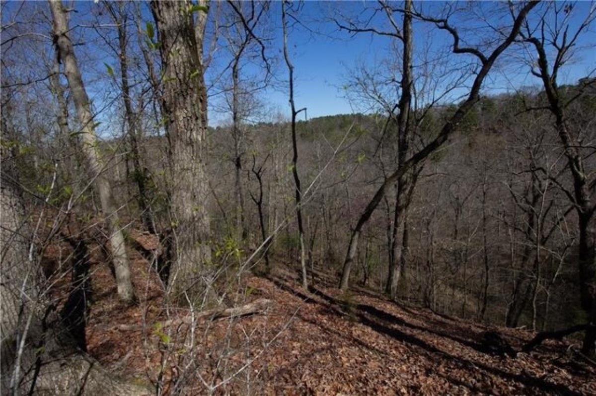 Picture of Residential Land For Sale in Rogers, Arkansas, United States