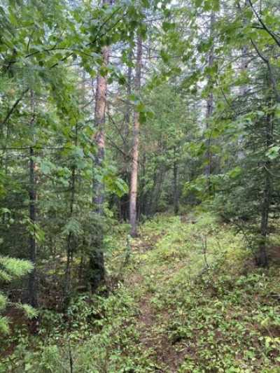 Residential Land For Sale in Kila, Montana