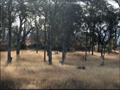 Residential Land For Sale in Grass Valley, California