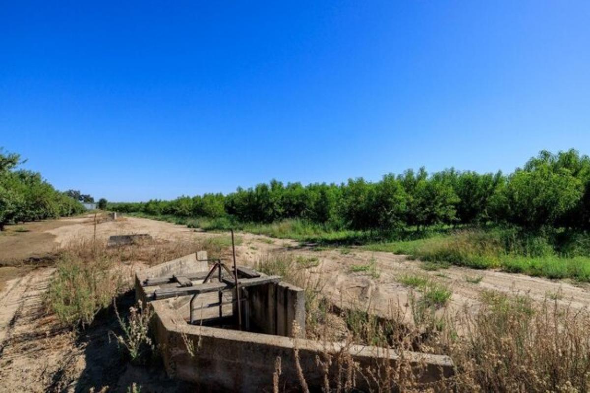 Picture of Residential Land For Sale in Turlock, California, United States