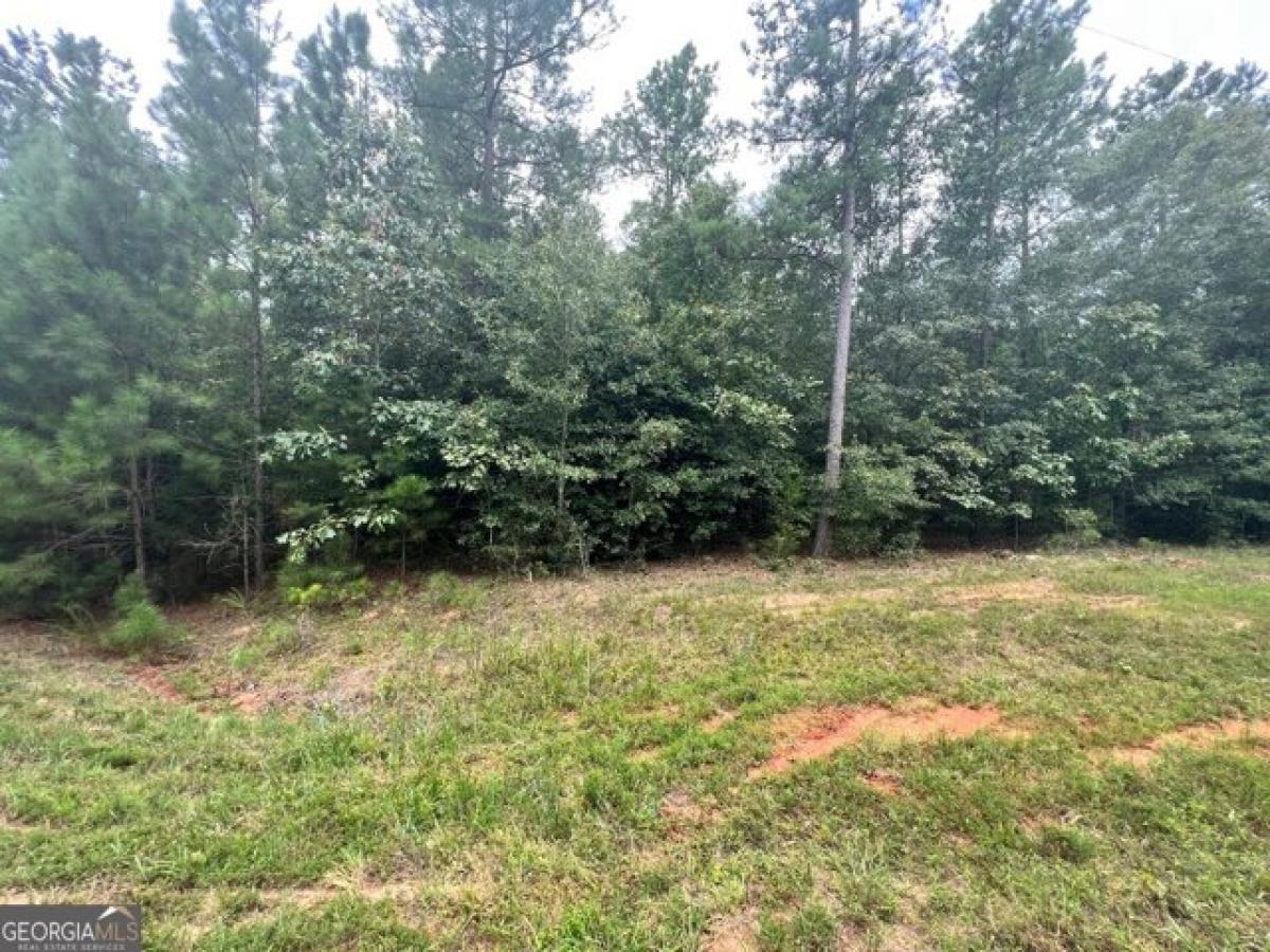 Picture of Residential Land For Sale in Elberton, Georgia, United States