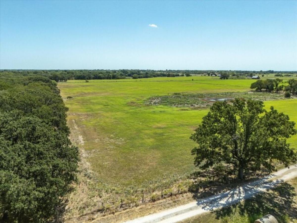 Picture of Residential Land For Sale in Decatur, Texas, United States