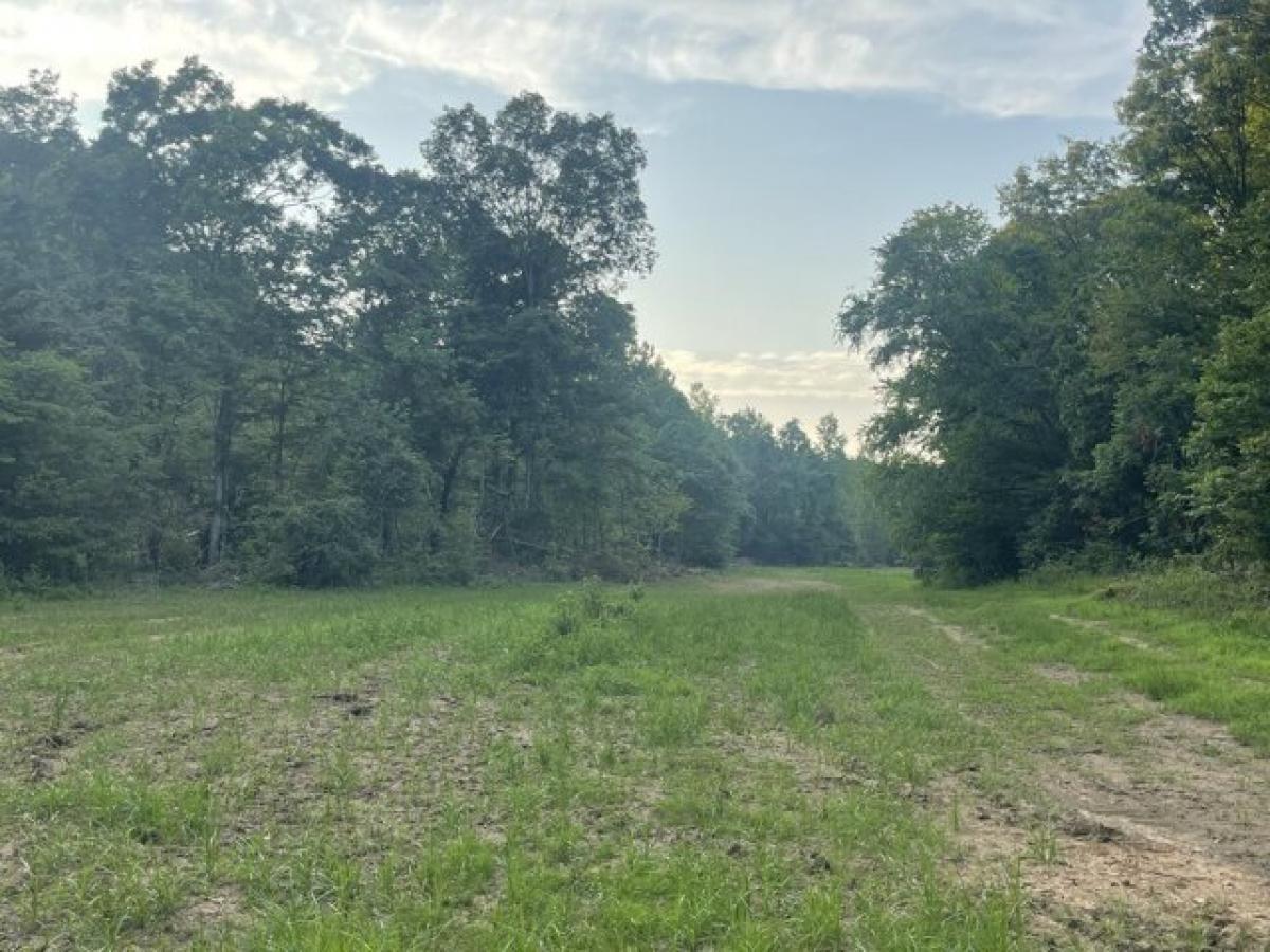 Picture of Residential Land For Sale in Waverly, Tennessee, United States