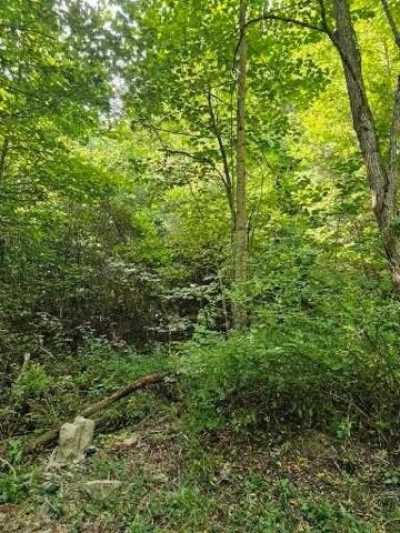 Residential Land For Sale in Whittier, North Carolina