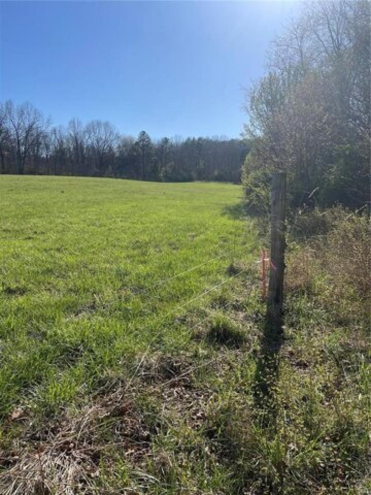 Picture of Residential Land For Sale in Licking, Missouri, United States