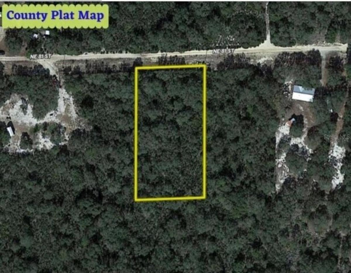 Picture of Residential Land For Sale in Bronson, Florida, United States