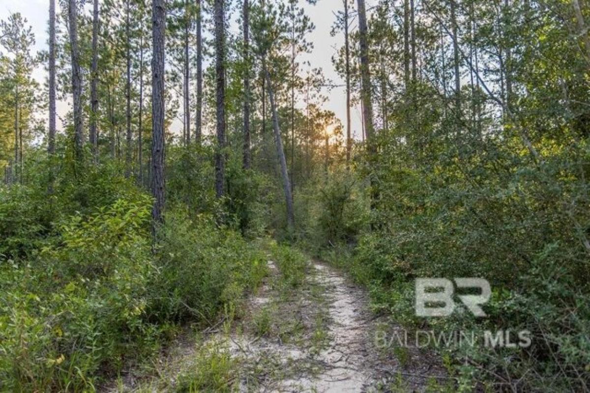 Picture of Residential Land For Sale in Robertsdale, Alabama, United States