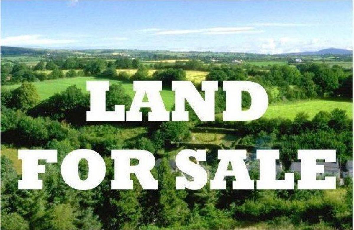 Picture of Residential Land For Sale in Lakeland, Georgia, United States