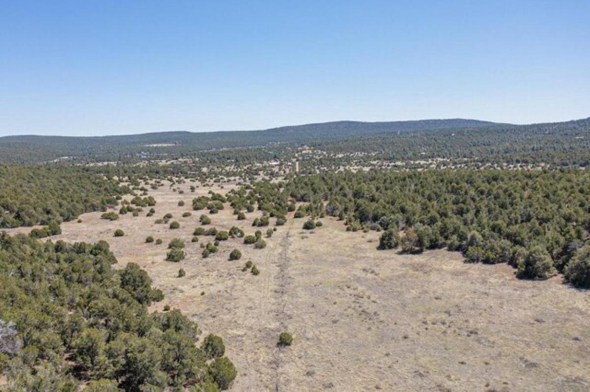 Picture of Residential Land For Sale in Tijeras, New Mexico, United States