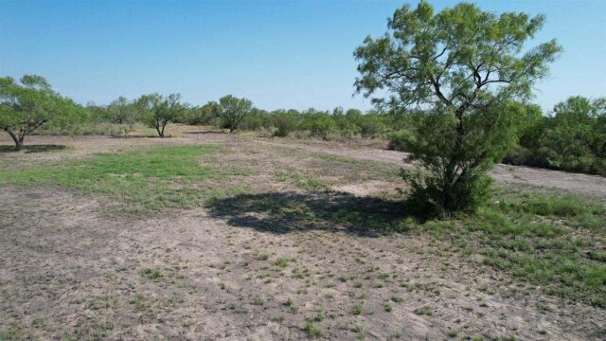 Picture of Residential Land For Sale in Jourdanton, Texas, United States