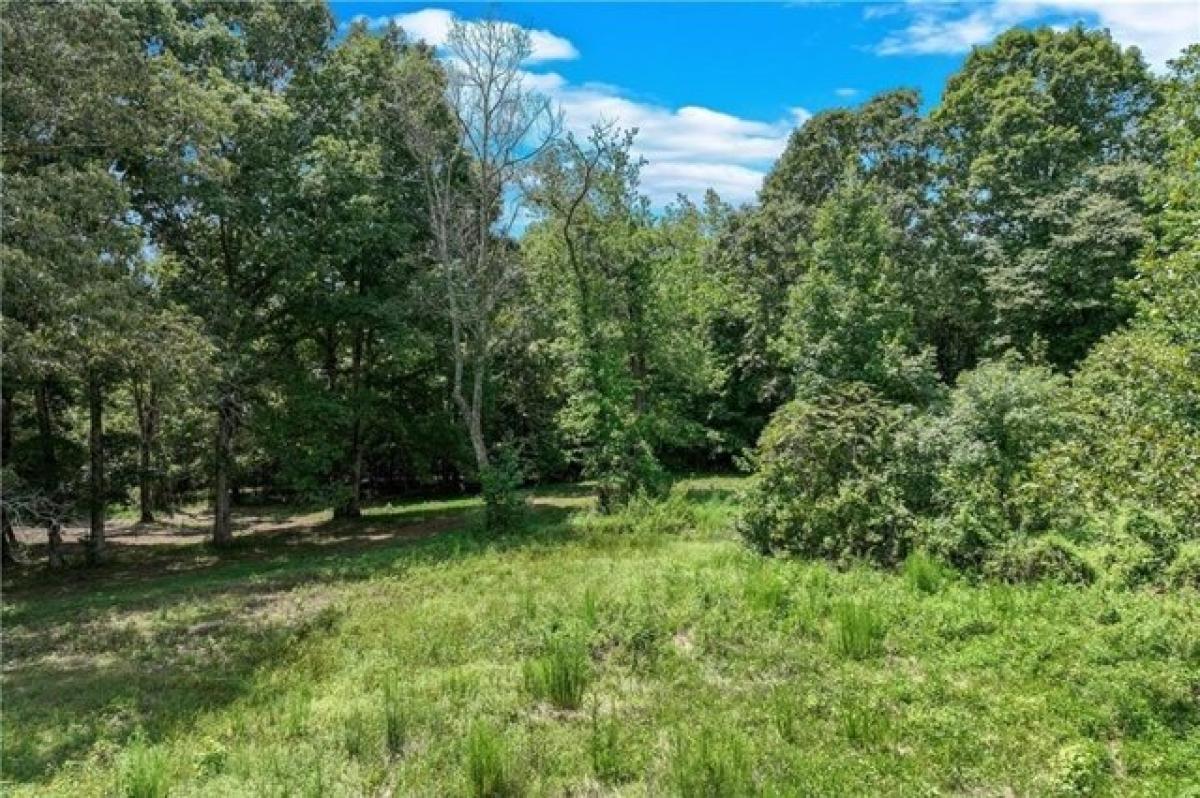 Picture of Residential Land For Sale in Dahlonega, Georgia, United States