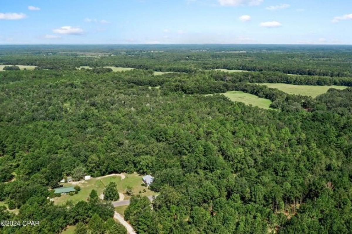 Picture of Home For Sale in Bonifay, Florida, United States