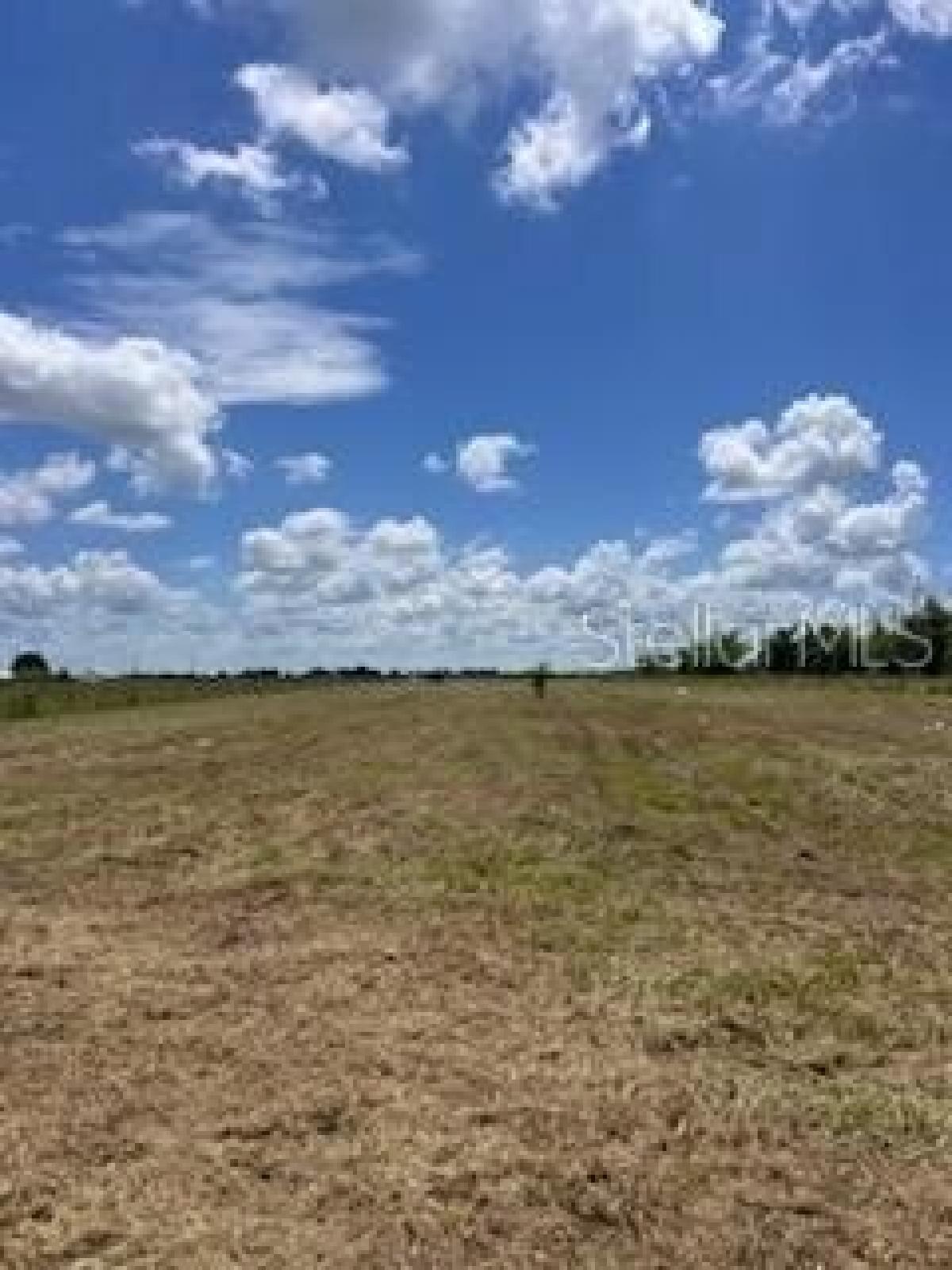 Picture of Residential Land For Sale in Myakka City, Florida, United States