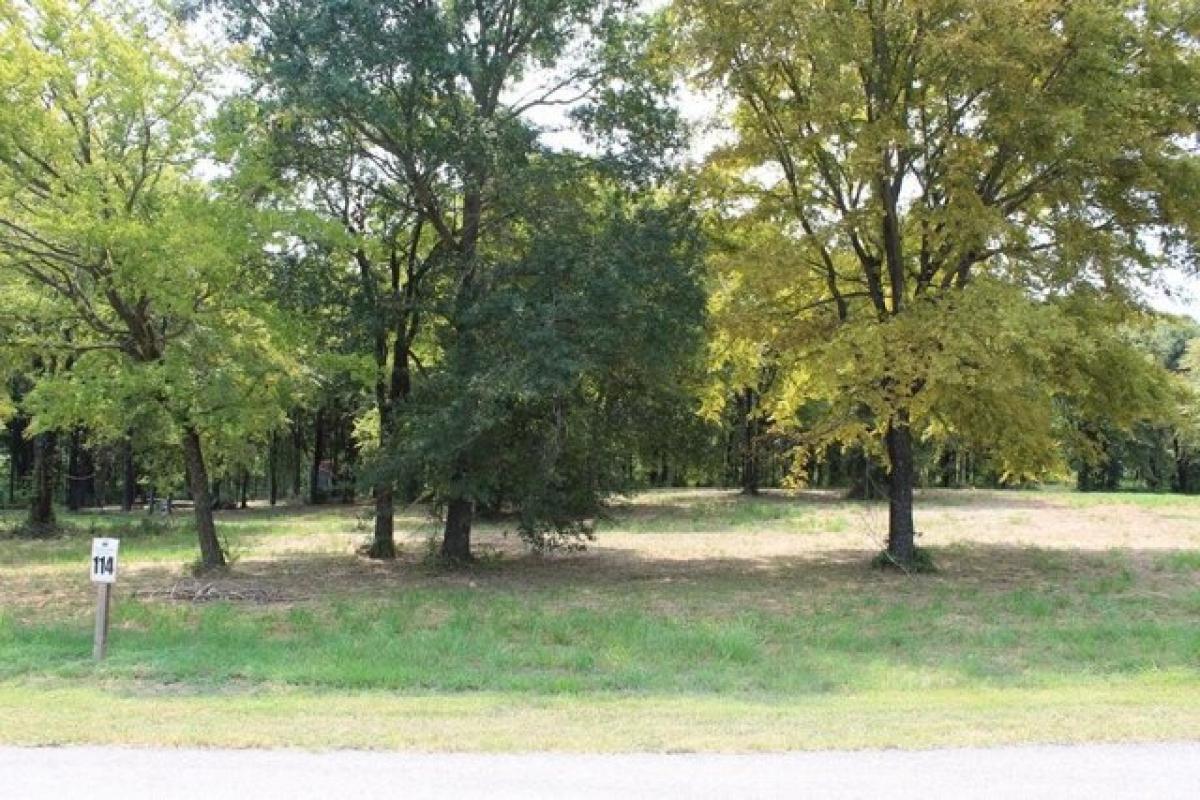 Picture of Residential Land For Sale in Kemp, Texas, United States