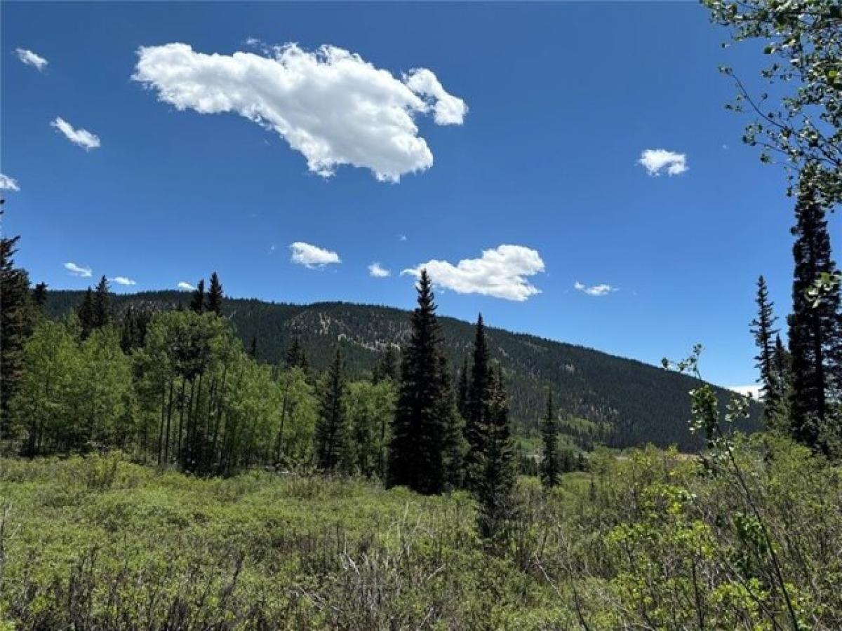 Picture of Residential Land For Sale in Alma, Colorado, United States