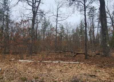 Residential Land For Sale in Baldwin, Michigan