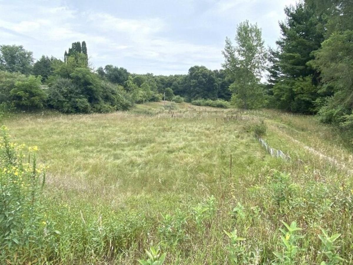 Picture of Residential Land For Sale in Greenville, Michigan, United States