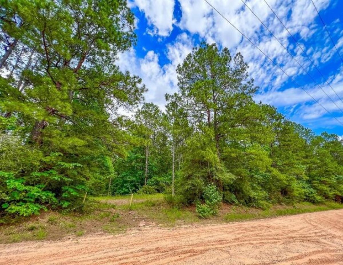 Picture of Residential Land For Sale in Corrigan, Texas, United States