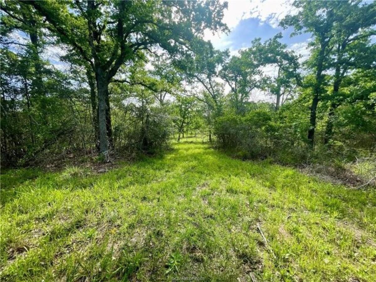 Picture of Residential Land For Sale in College Station, Texas, United States