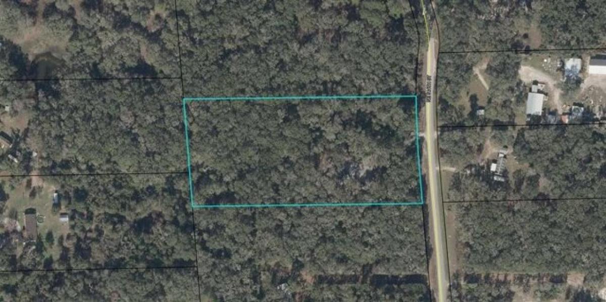 Picture of Residential Land For Sale in Old Town, Florida, United States