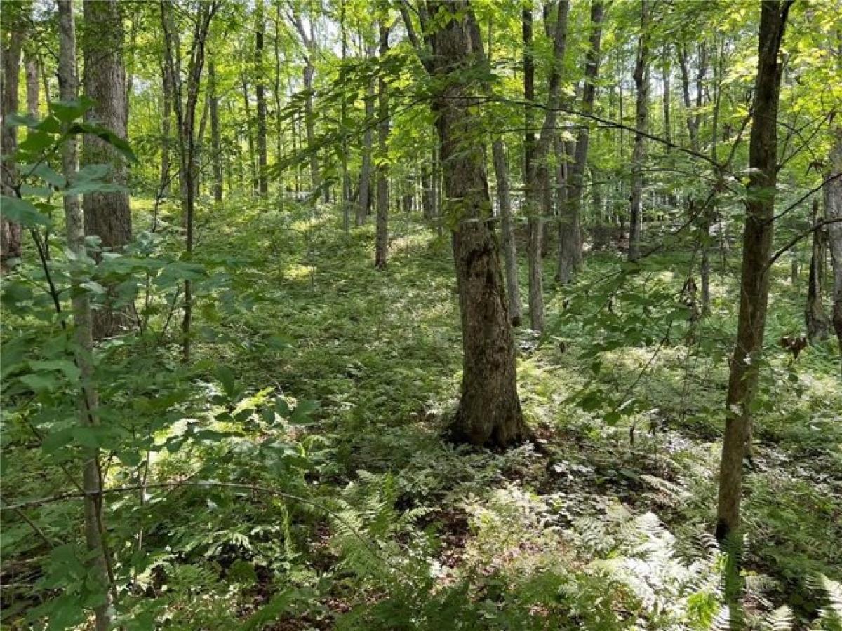 Picture of Residential Land For Sale in Rice Lake, Wisconsin, United States