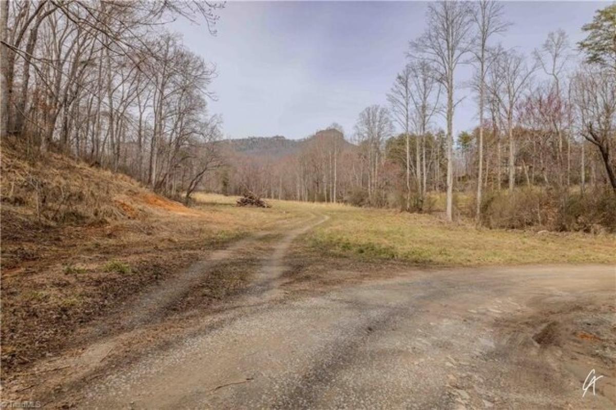 Picture of Residential Land For Sale in Pinnacle, North Carolina, United States