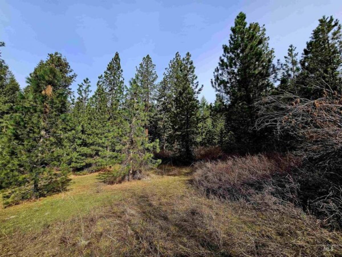 Picture of Residential Land For Sale in Kendrick, Idaho, United States