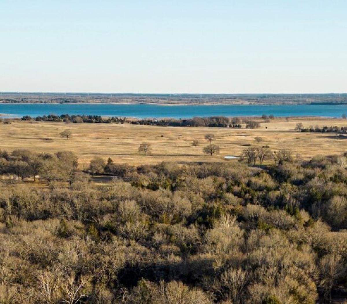 Picture of Residential Land For Sale in Telephone, Texas, United States