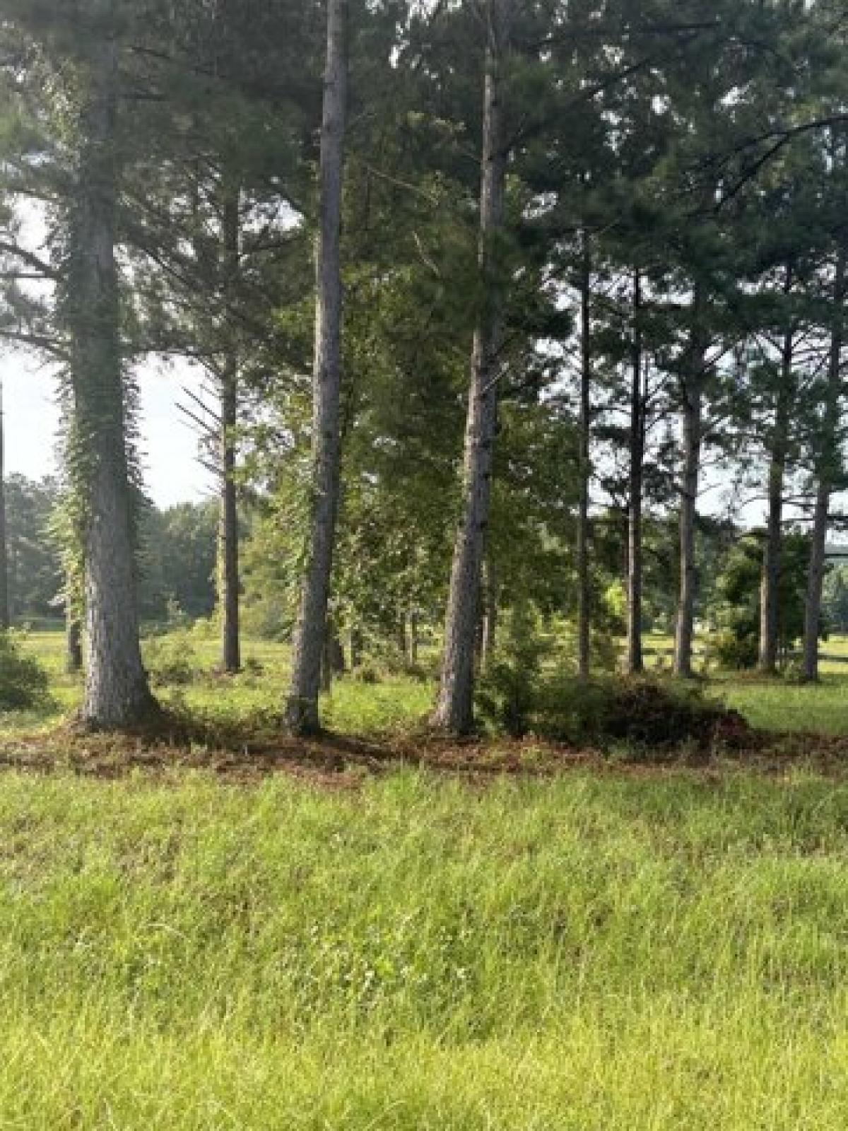 Picture of Residential Land For Sale in Andalusia, Alabama, United States