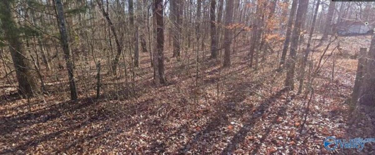 Picture of Residential Land For Sale in Gurley, Alabama, United States