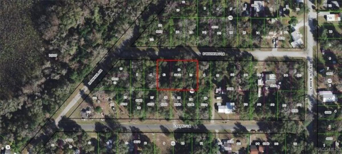 Picture of Residential Land For Sale in Floral City, Florida, United States