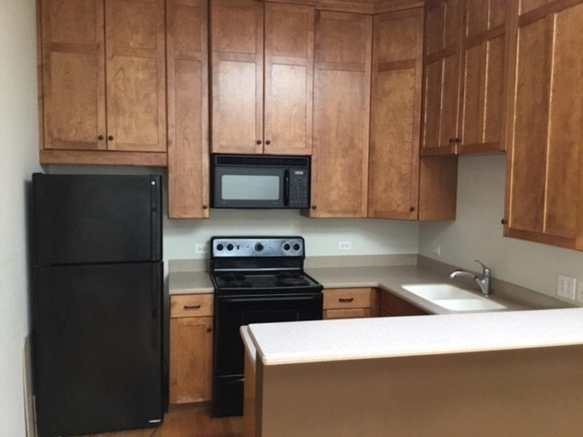 Picture of Apartment For Rent in Wheaton, Illinois, United States