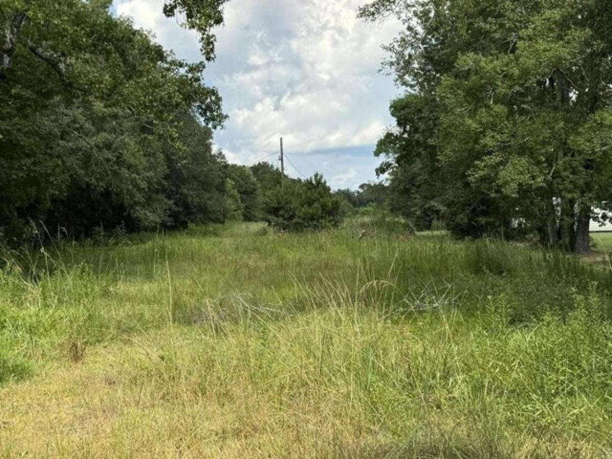 Picture of Residential Land For Sale in Pinehurst, Texas, United States